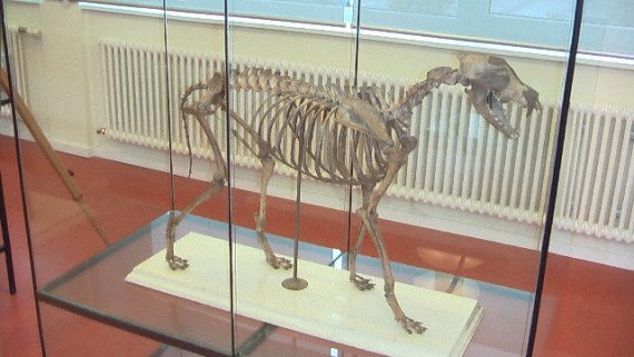 Ausstellung